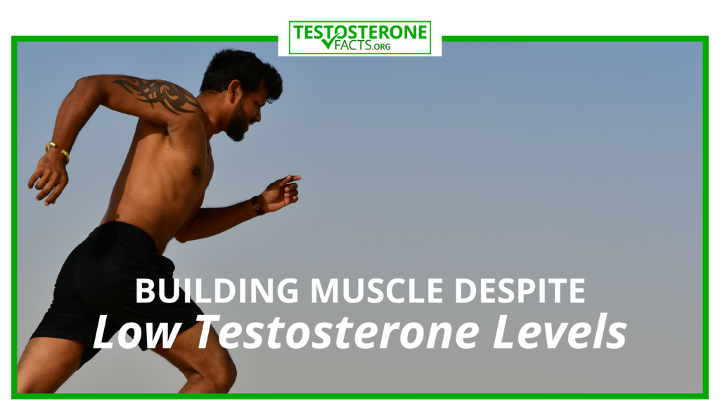 Building Muscle Despite Low Testosterone Levels - Testosteronefacts.org