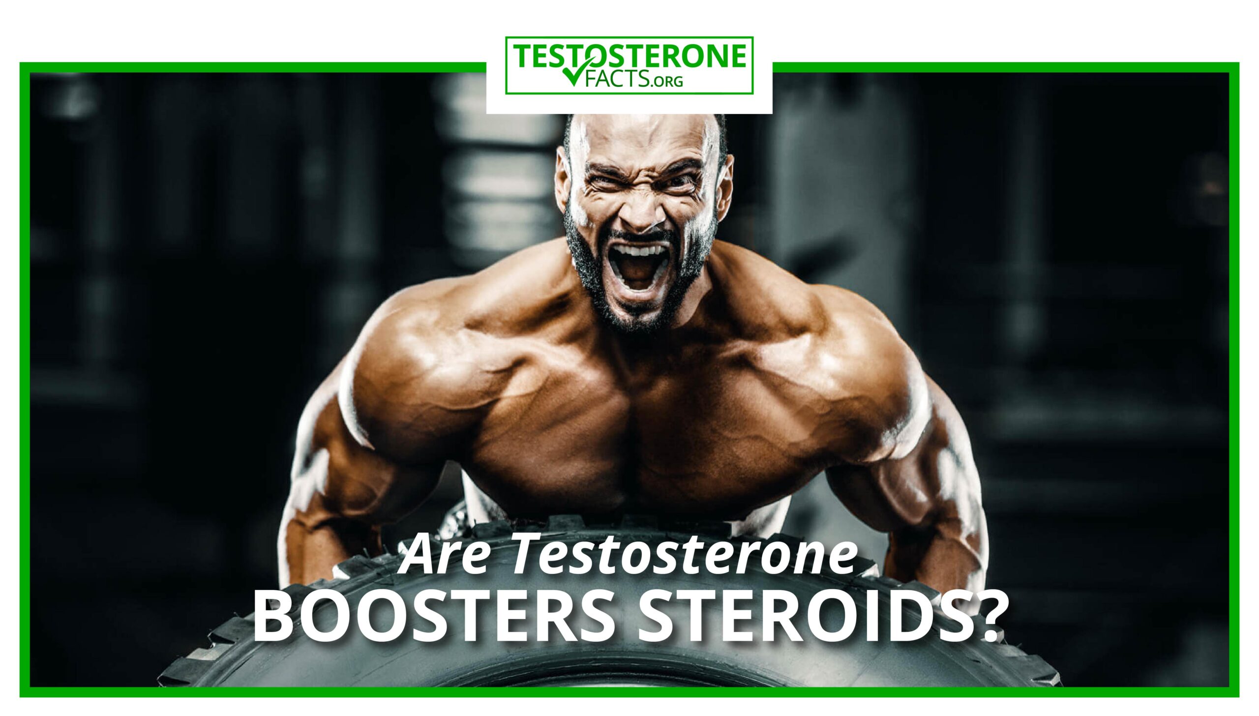 Are Testosterone Boosters Steroids?