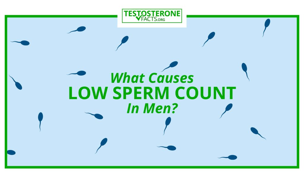 What Causes Low Sperm Count In Men?