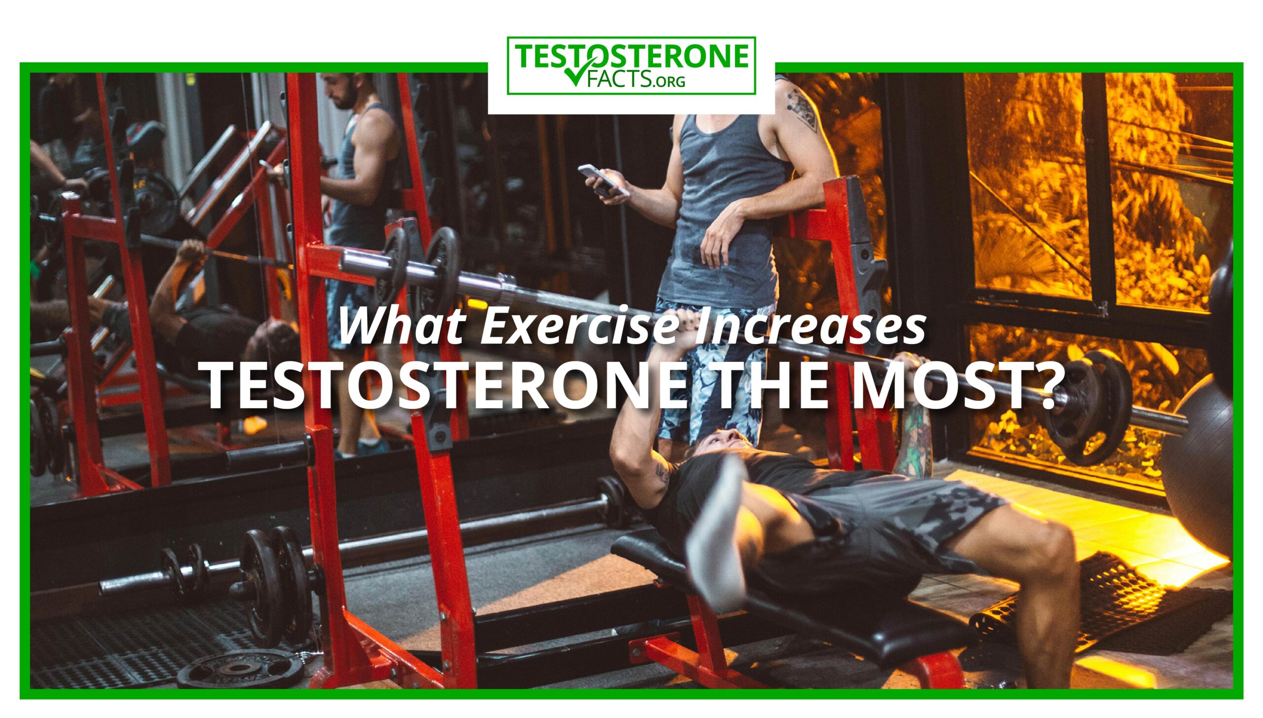 What Exercise Increases Testosterone The Most