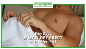 Why Does A Man Get Erect In The Morning?