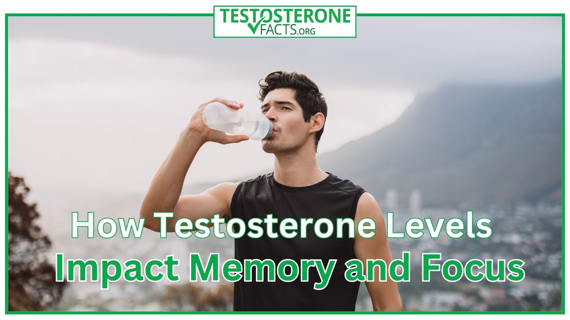 How Testosterone Levels Impact Memory and Focus