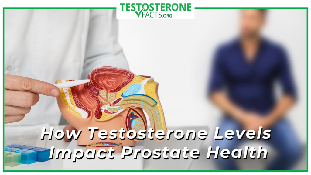 How Testosterone Levels Impact Prostate Health