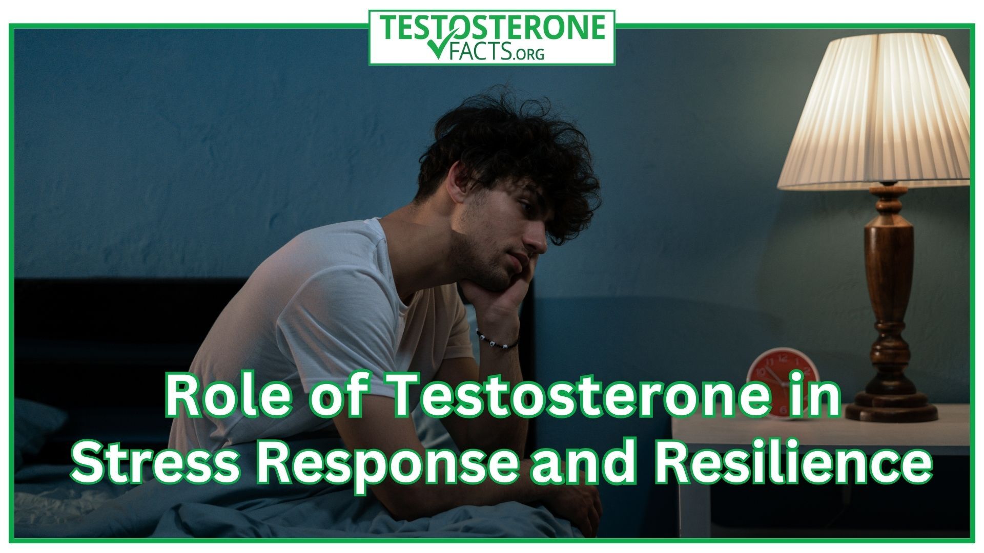 Role of Testosterone in Stress Response and Resilience