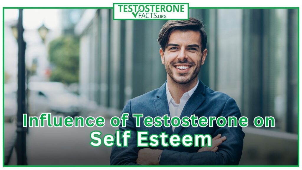 Testosterone and Self-Esteem Influence on Confidence and Mental Health