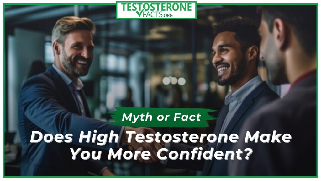 Myth or Fact Does High Testosterone Make You More Confident