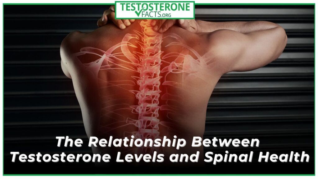 The Relationship Between Testosterone Levels and Spinal Health